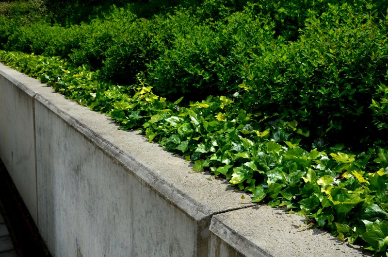Erosion Control In Atlanta